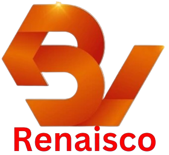 Renaisco B.V.

